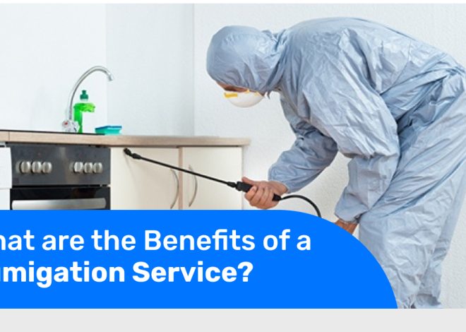 What are the Benefits of a Fumigation Service?