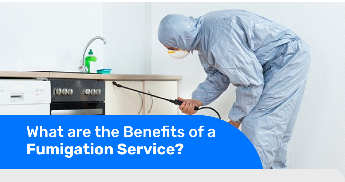 What are the Benefits of a Fumigation Service?