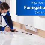 How Much Does Fumigation Services Cost? (2024 Guide)