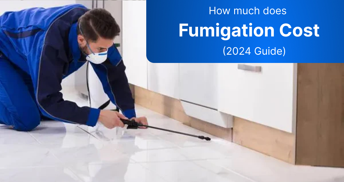 How Much Does Fumigation Services Cost? (2024 Guide)
