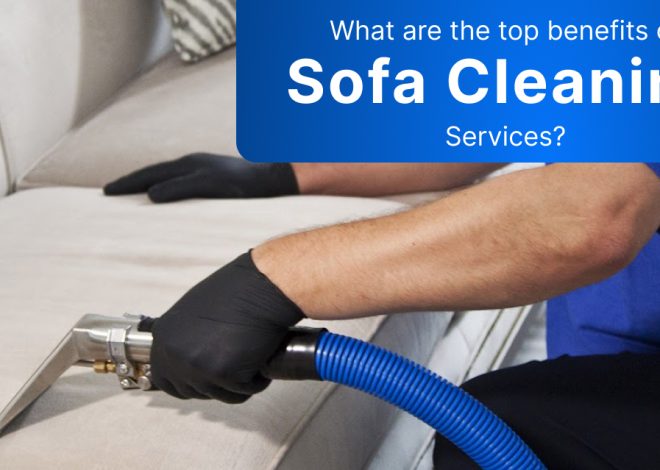 What Are The Top Benefits Of Sofa Cleaning Services?