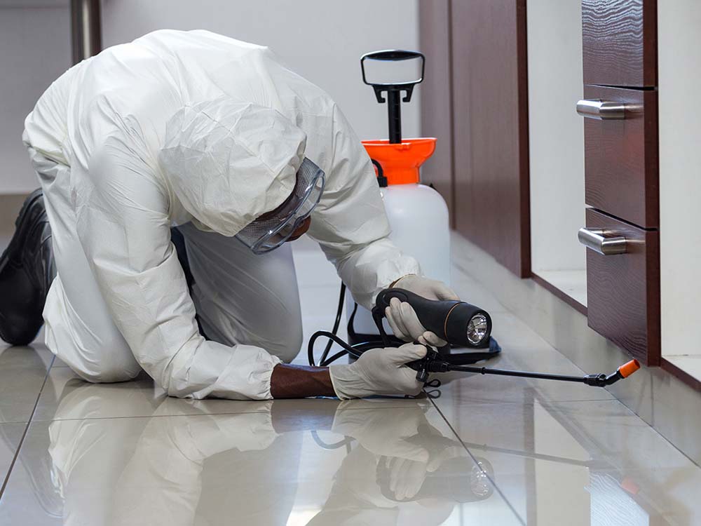 Fumigation Services Domestic Karachi