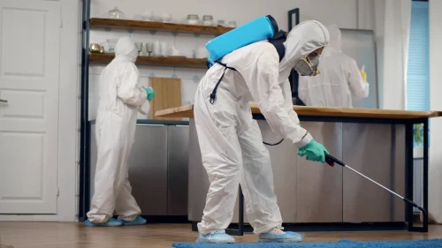 Understanding the Need for Fumigation & Pest Control Services in Karachi