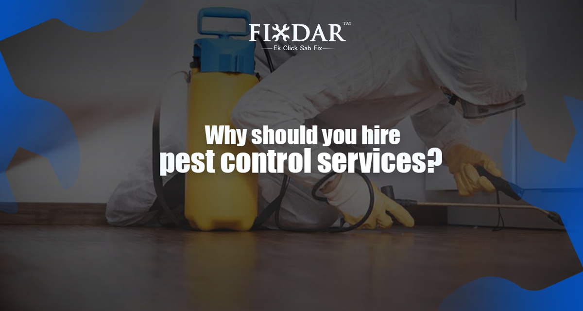 Why Should You Hire Pest Control Services