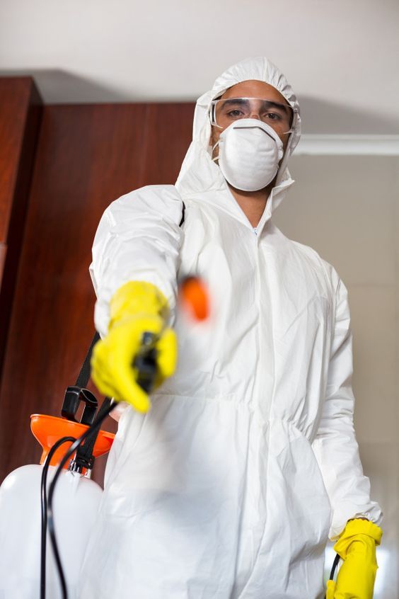Fumigation Services