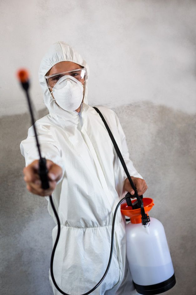 Fumigation service