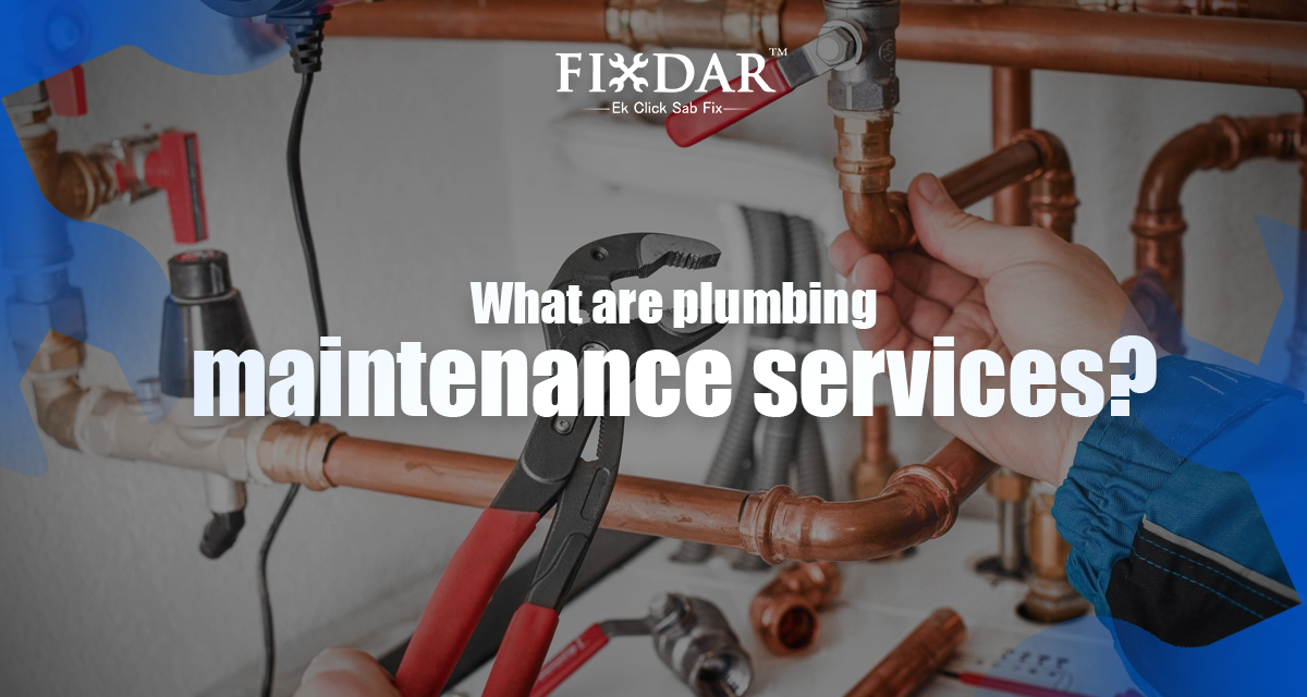 What Are Plumbing Maintenance Services?