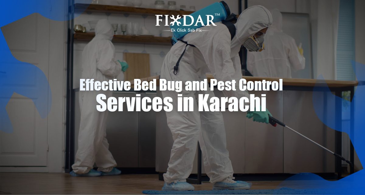 Effective Bed Bug And Pest Control Services In Karachi