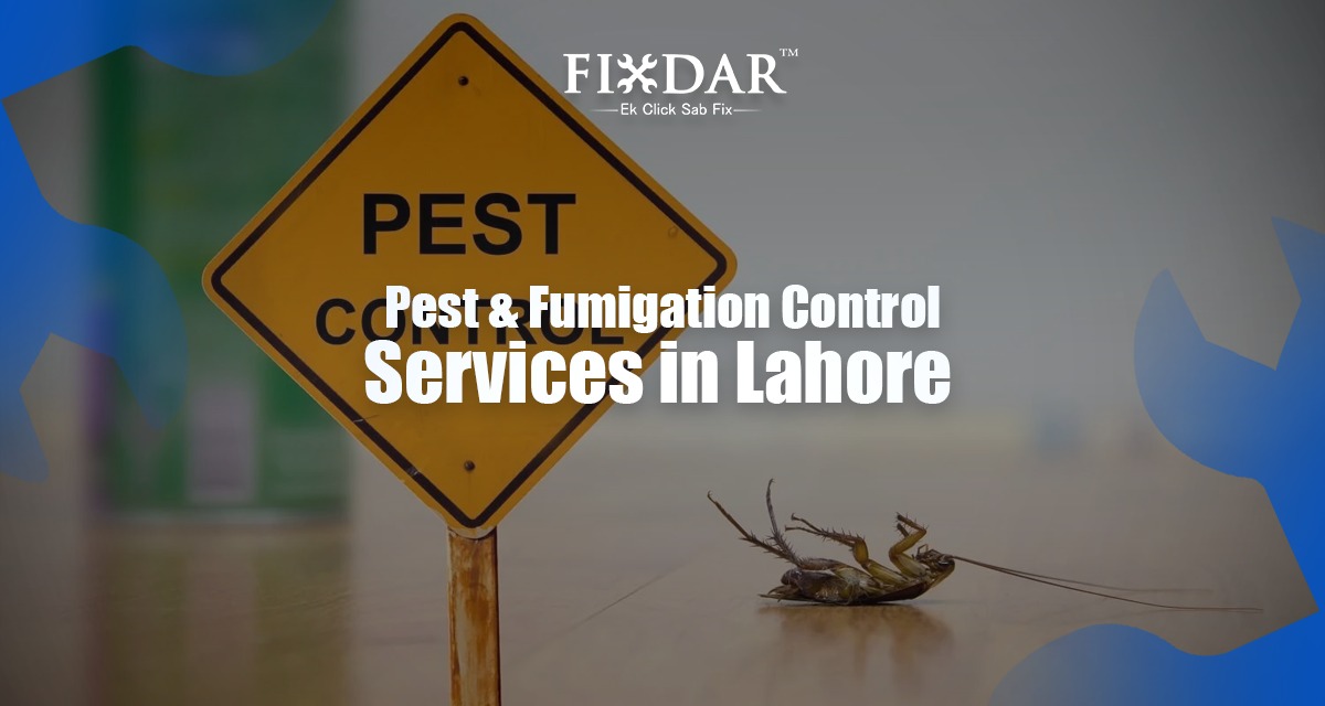 Pest & Fumigation Control Services In Lahore