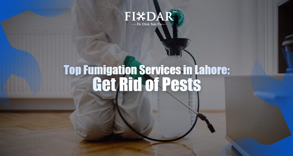 Top Fumigation Services In Lahore: Get Rid Of Pests