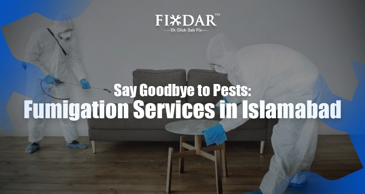 Say Goodbye To Pests: Fumigation Services In Islamabad